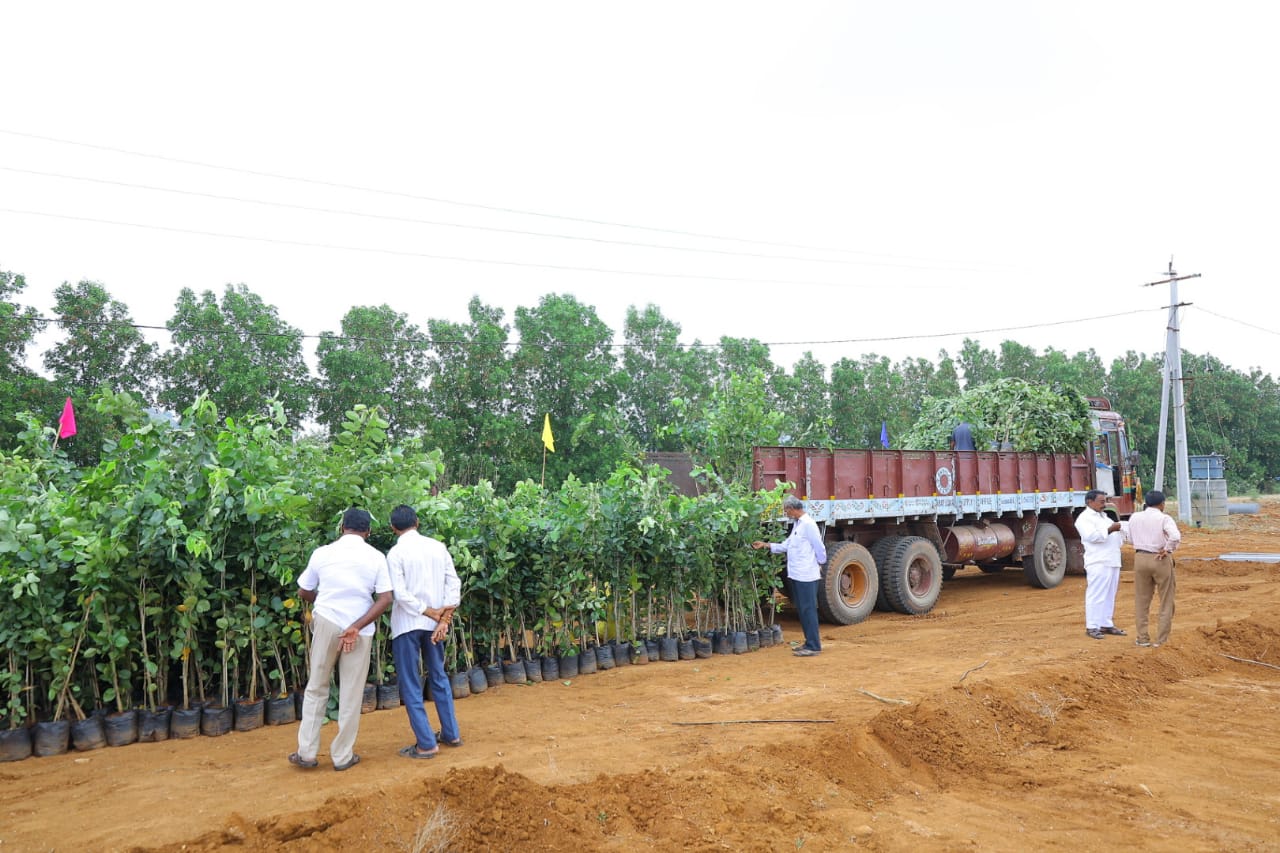 Agriculture land for sale