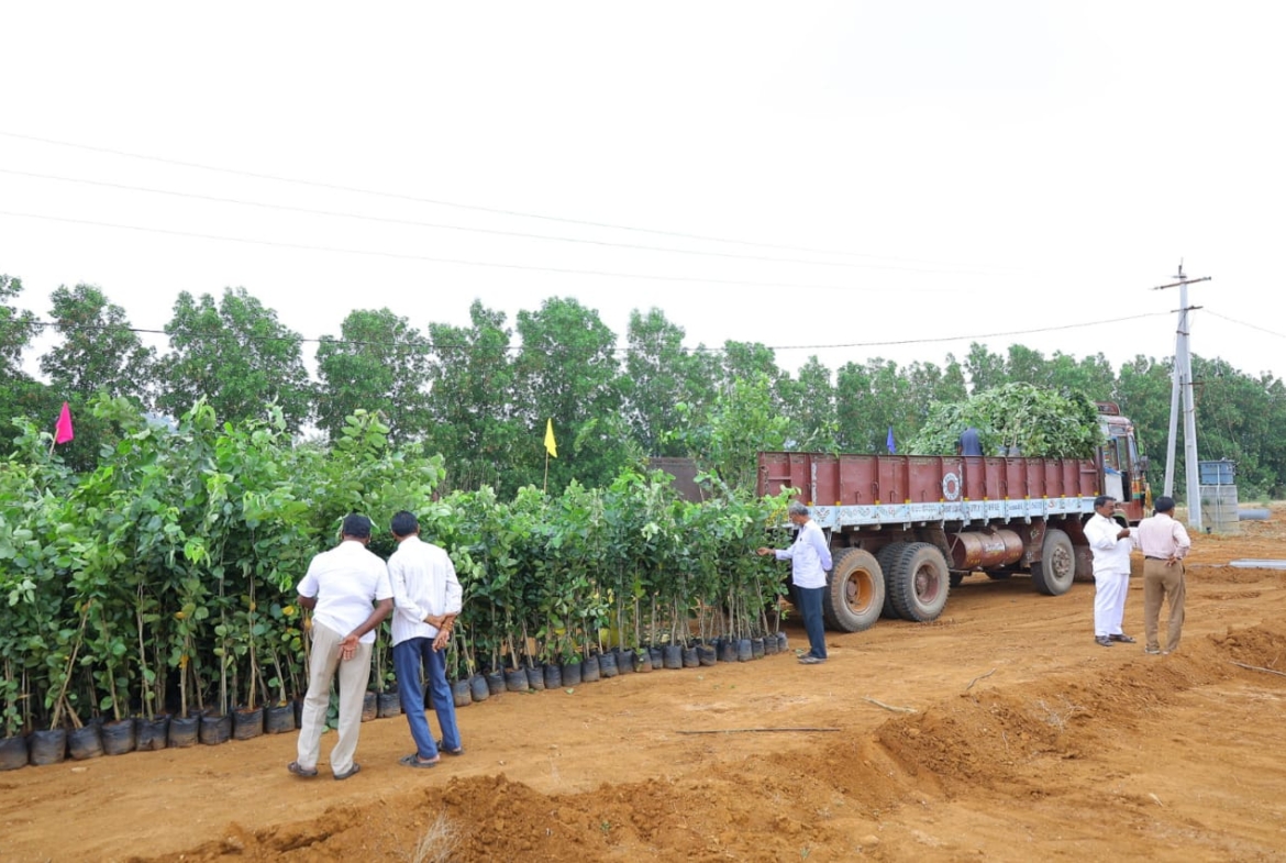 Farm land for sale