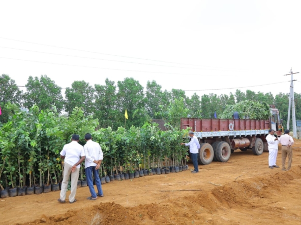 Farm land for sale