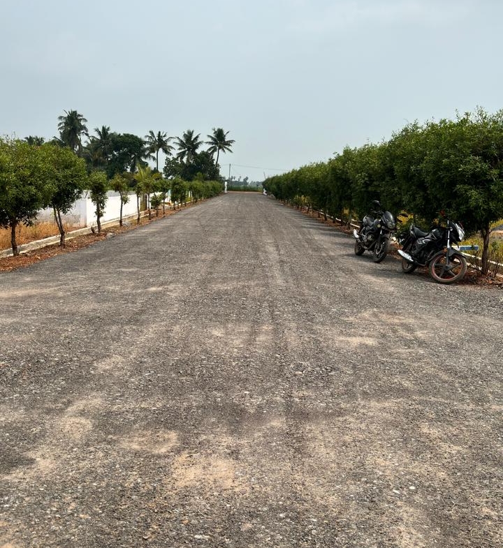 Land prices in Vuyyuru
