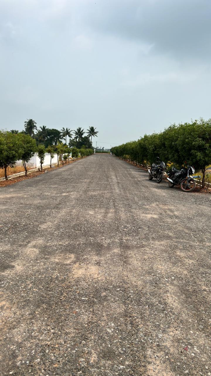 Land prices in Vuyyuru