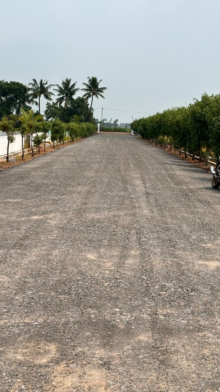 Sale properties in Vuyyuru