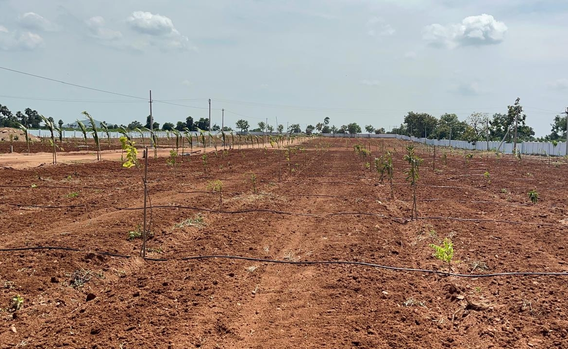 Agricultural Lands for sale Hyderabad