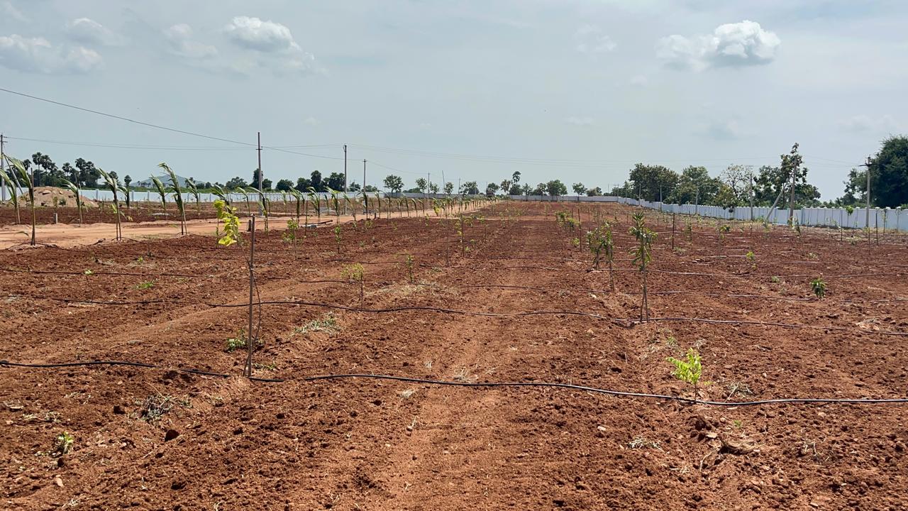 Agricultural Lands for sale Hyderabad