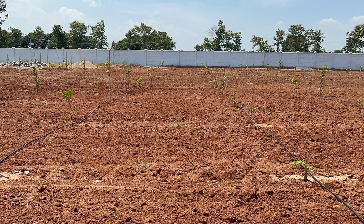 Farmlands near for sale Hyderabad
