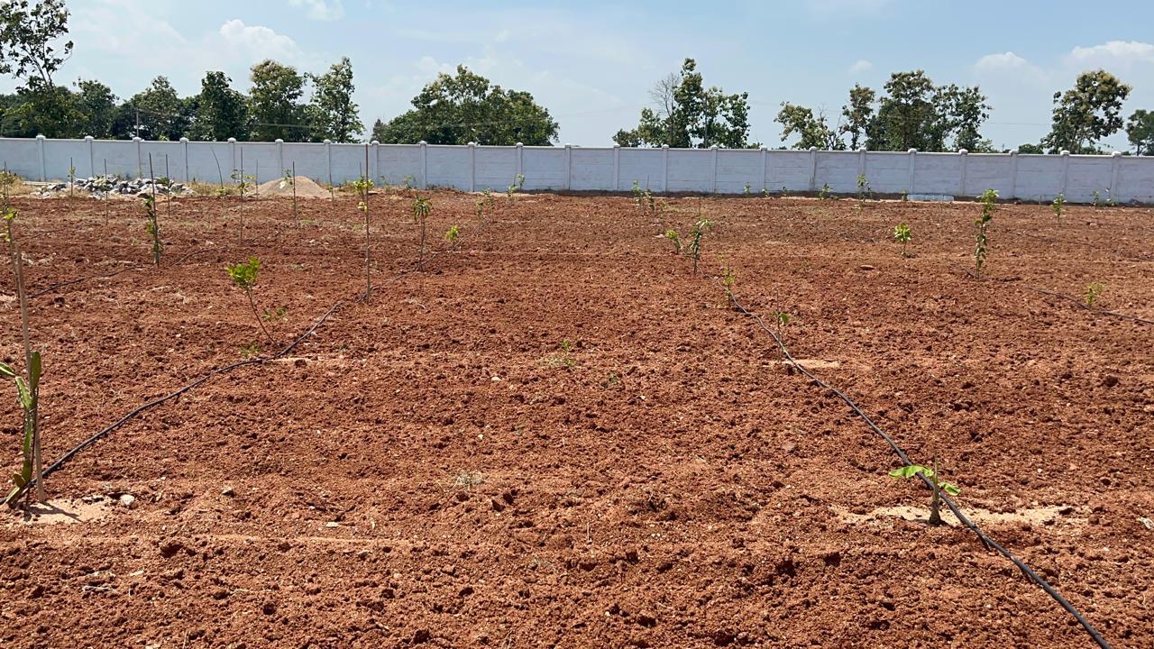 Farmlands near for sale Hyderabad
