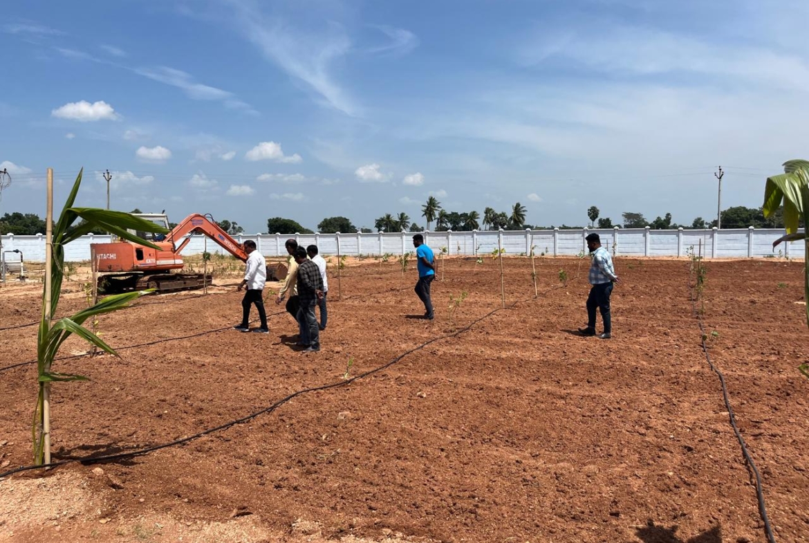Farmlands for sale in Narketpalli