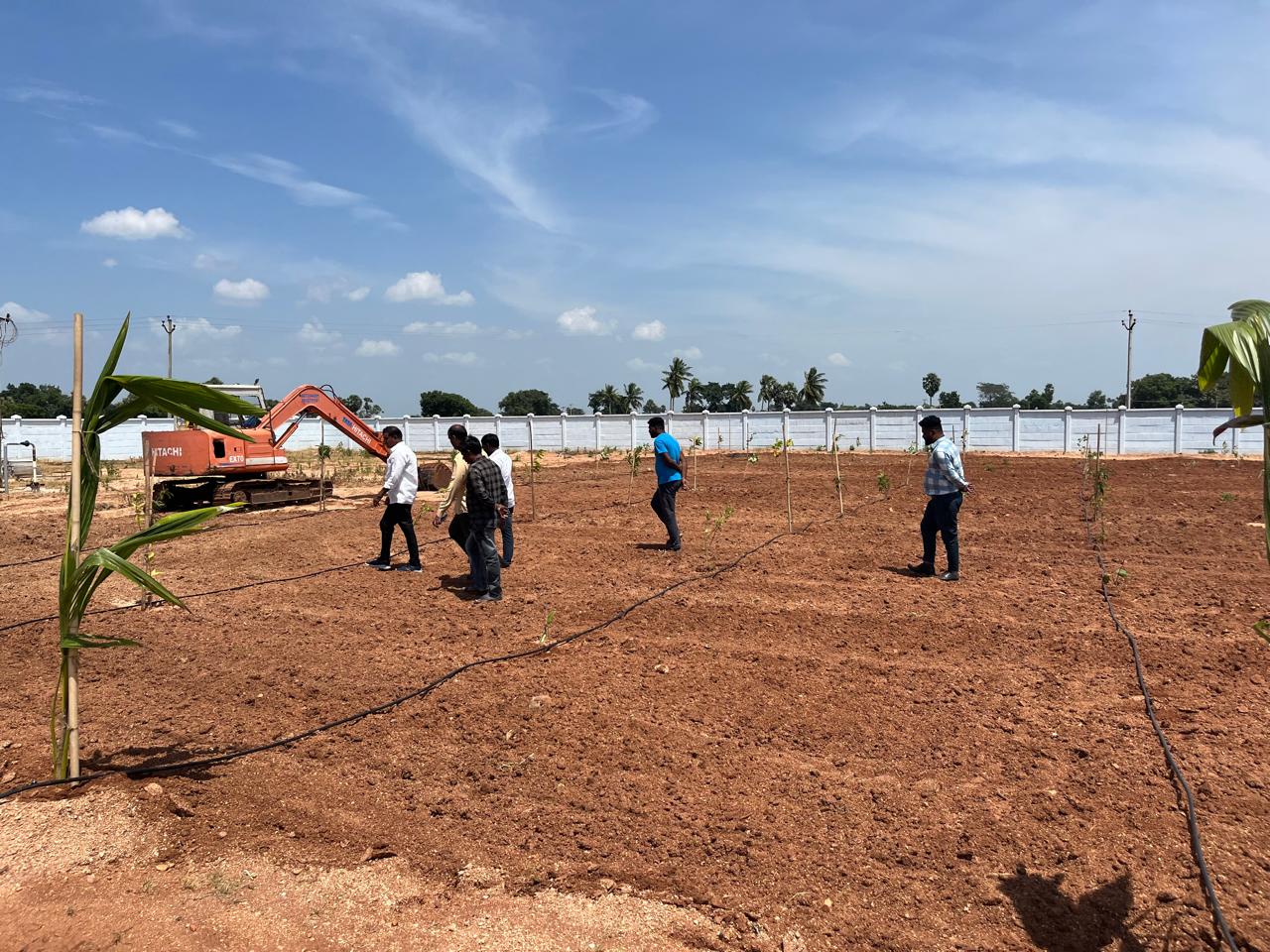 Farmlands for sale in Narketpalli